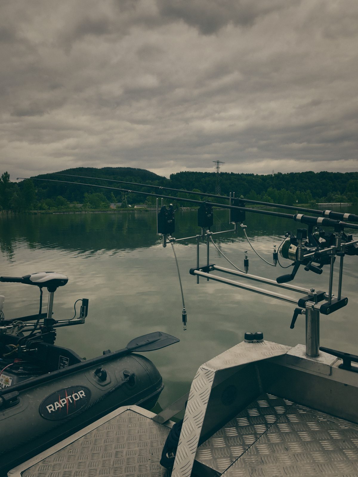 Styria Carp 2020