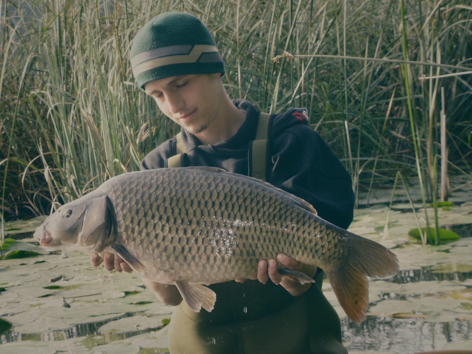 Styria Carp 0000