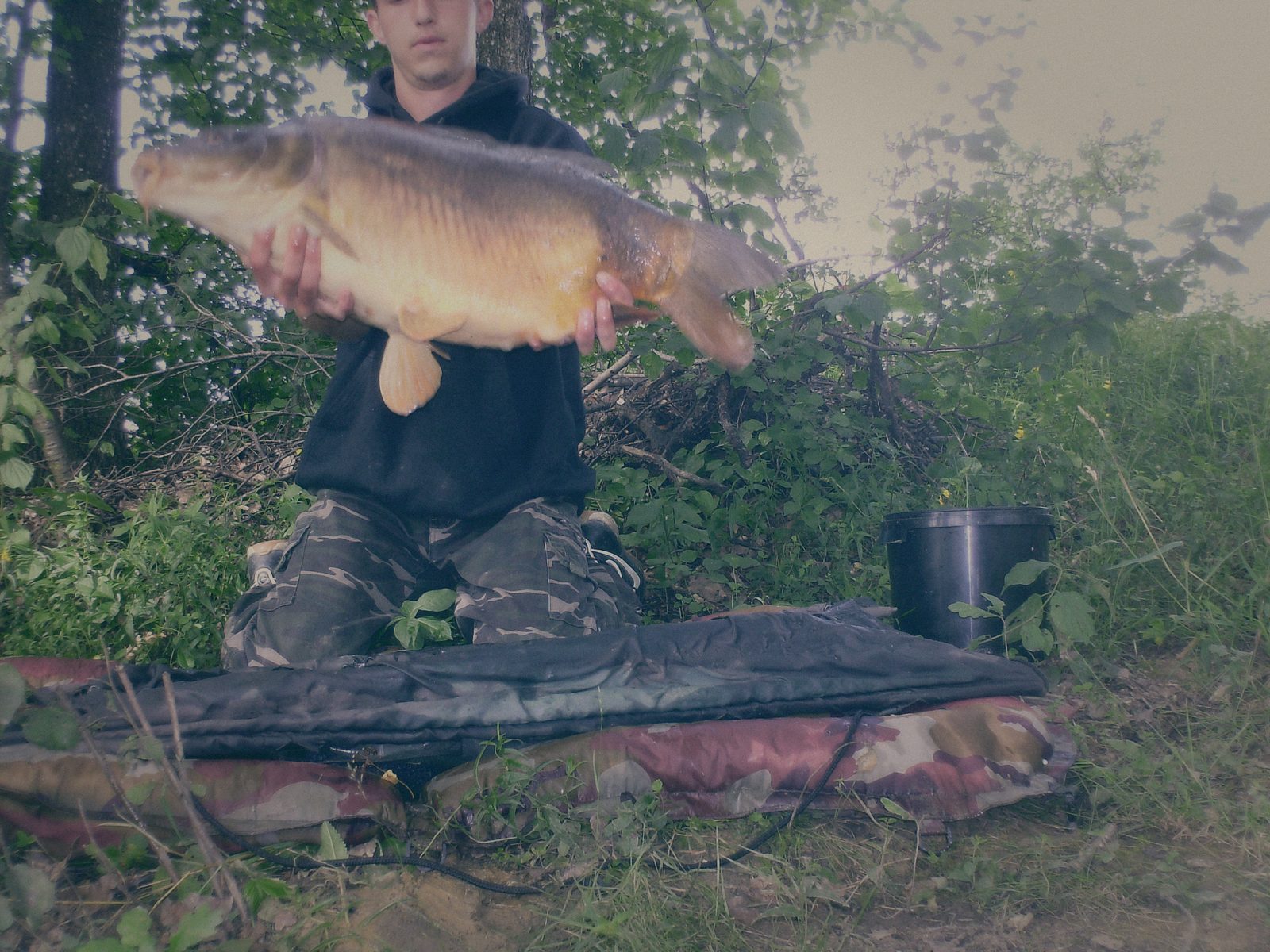Styria Carp 2008