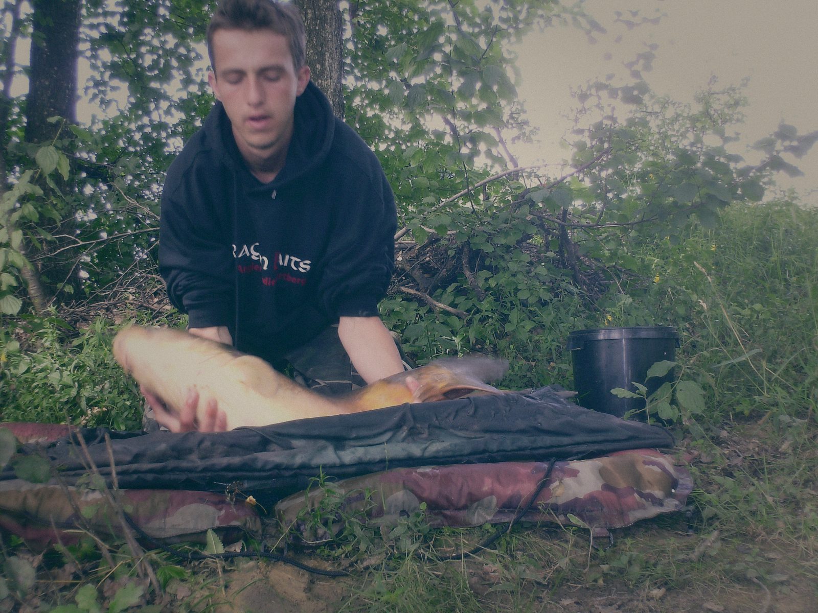 Styria Carp 2008