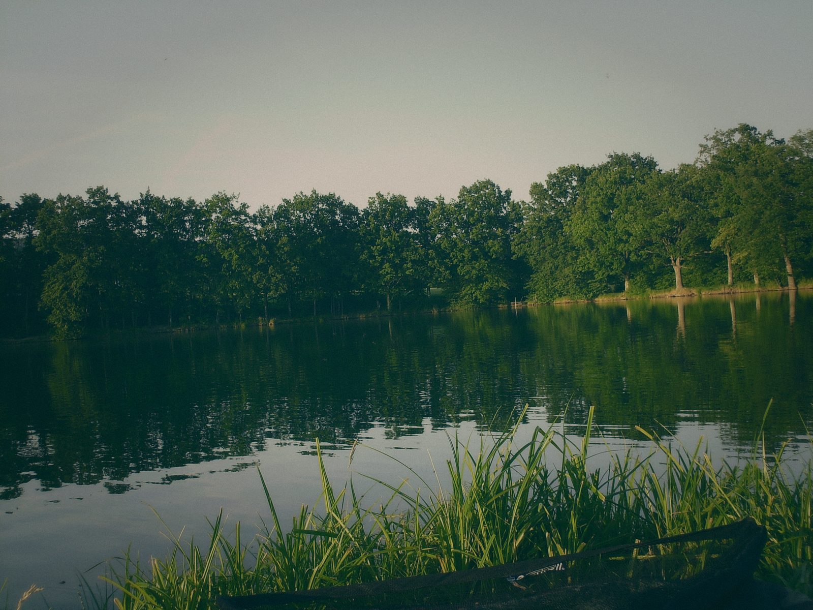 Styria Carp 2008
