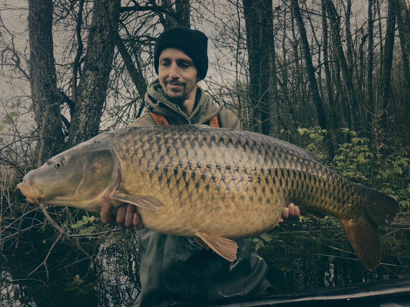 Styria Carp 2019