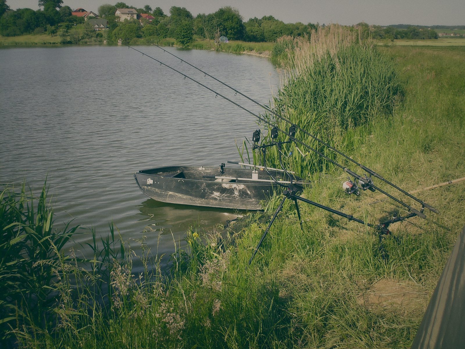 Styria Carp 2006