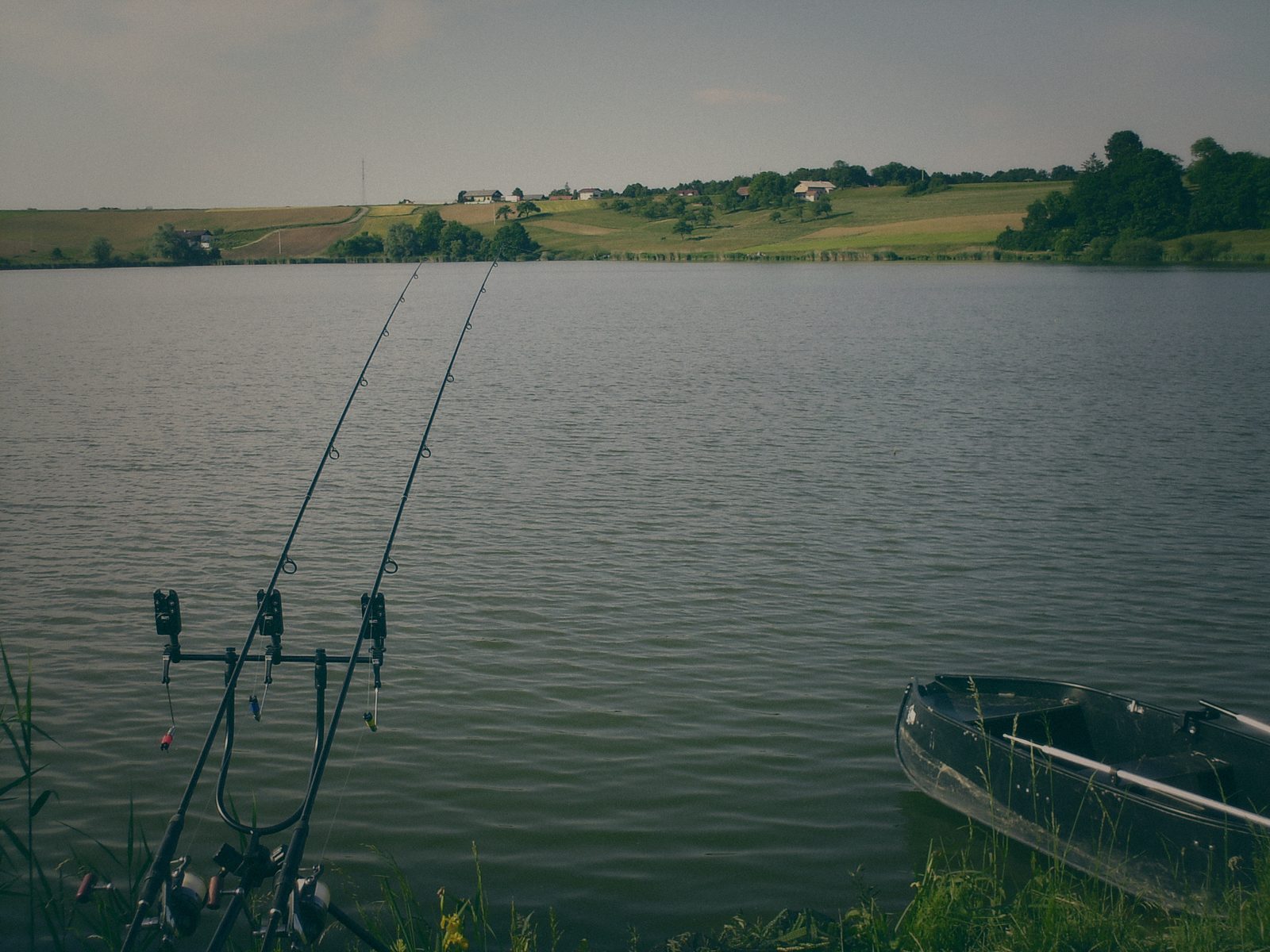 Styria Carp 2006