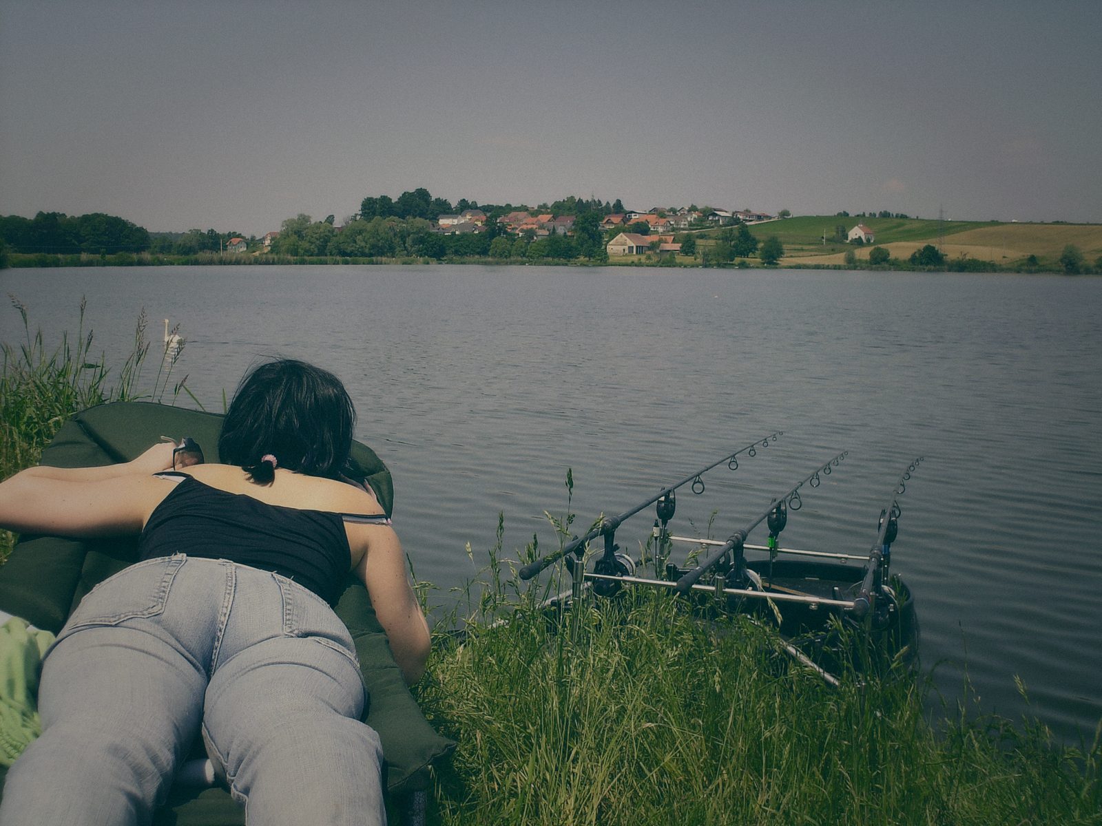 Styria Carp 2006