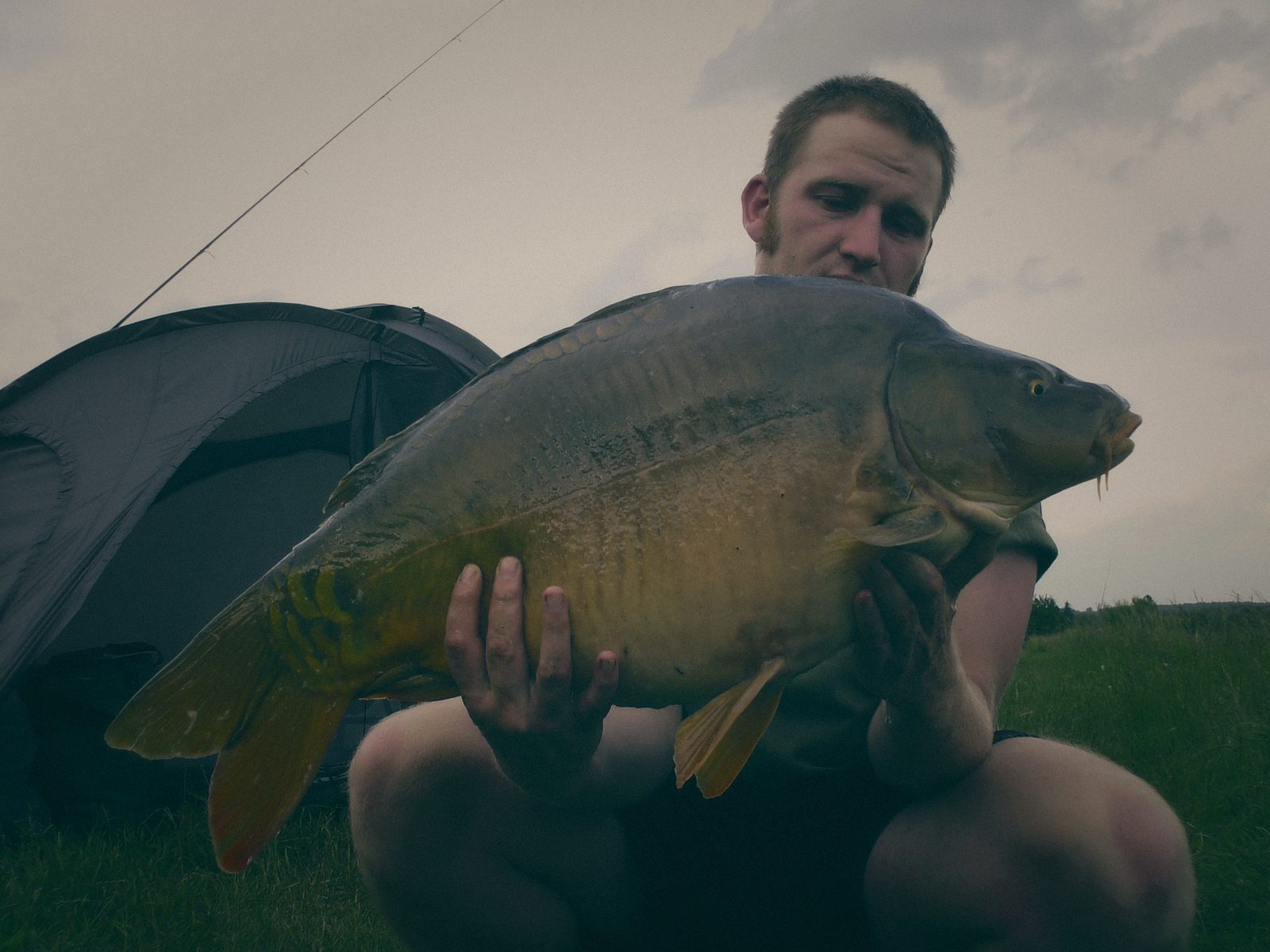 Styria Carp 2007