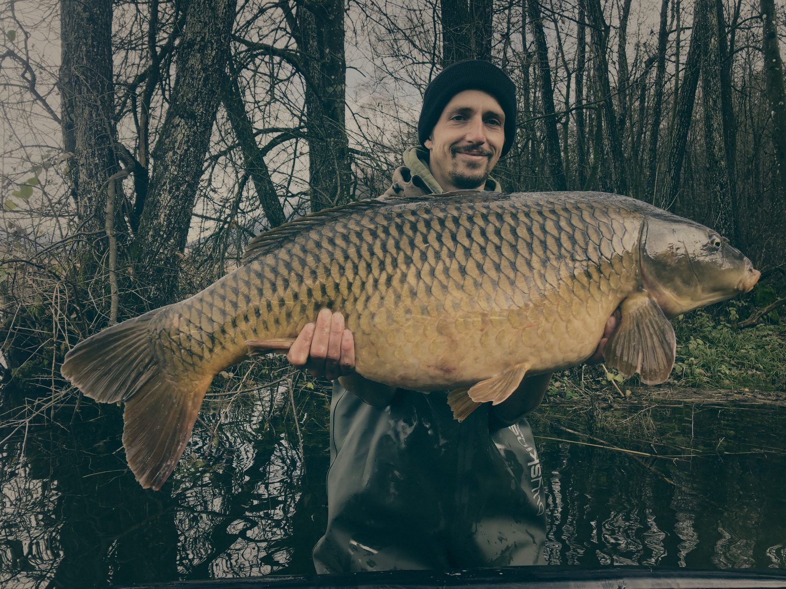 Styria Carp 2019