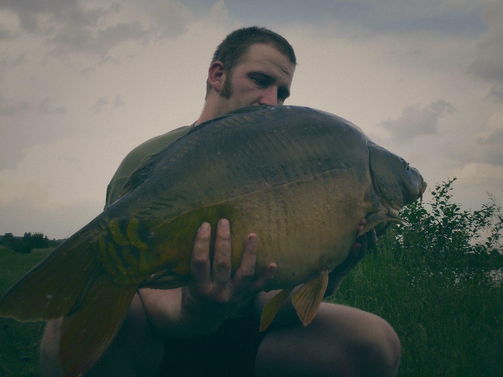 Styria Carp 2007