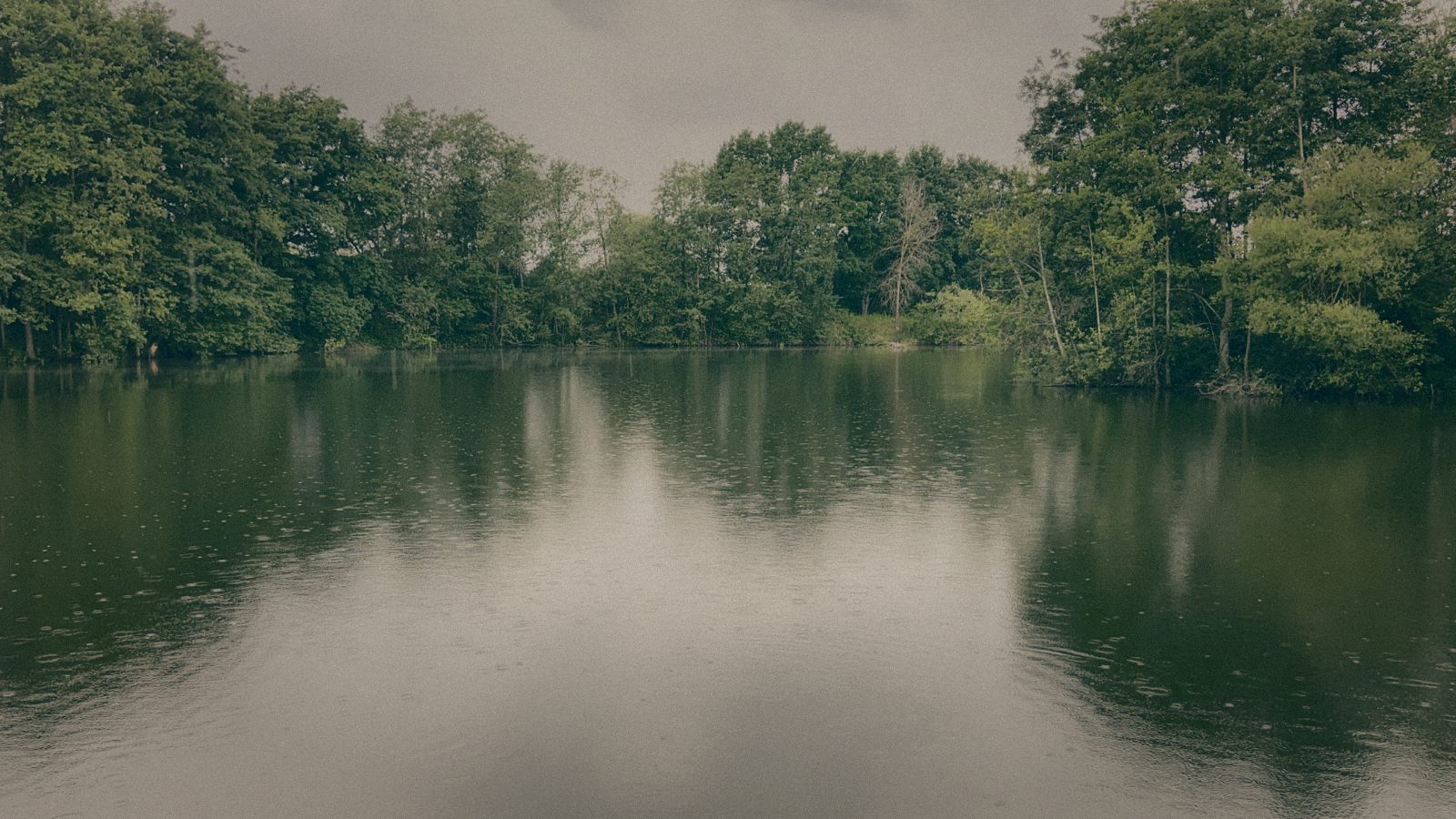 Styria Carp