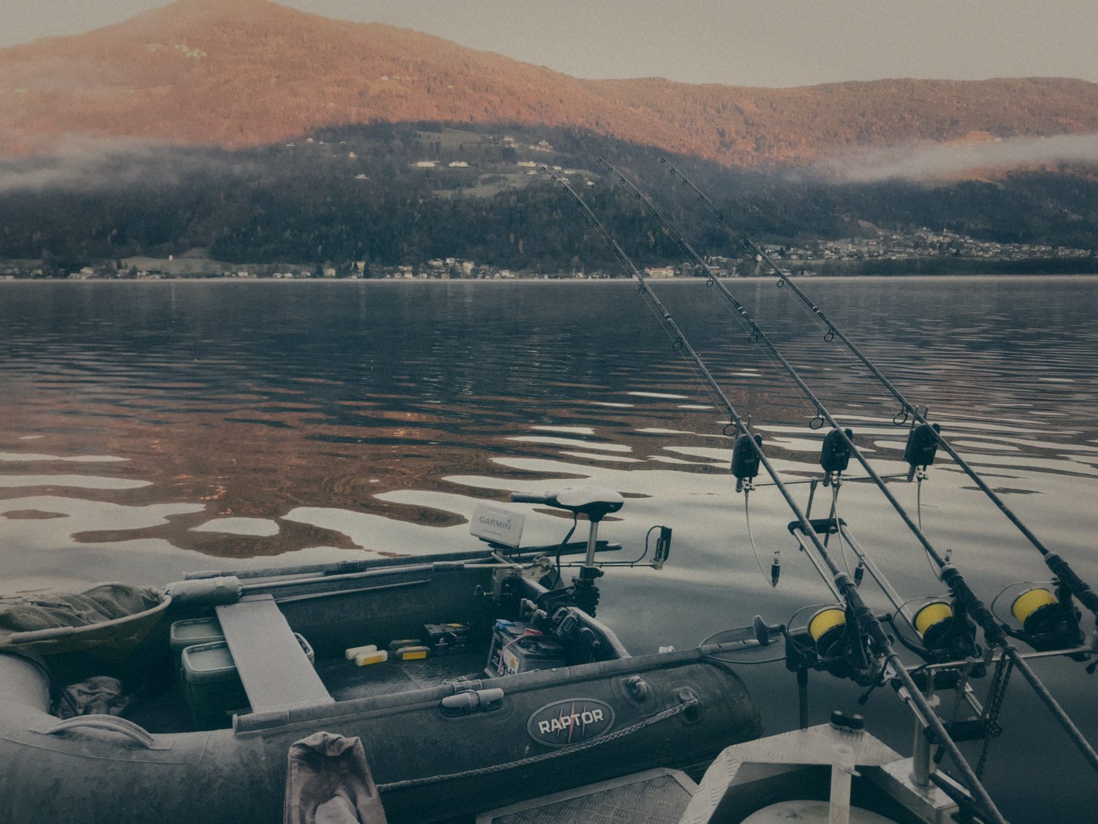 Styria Carp