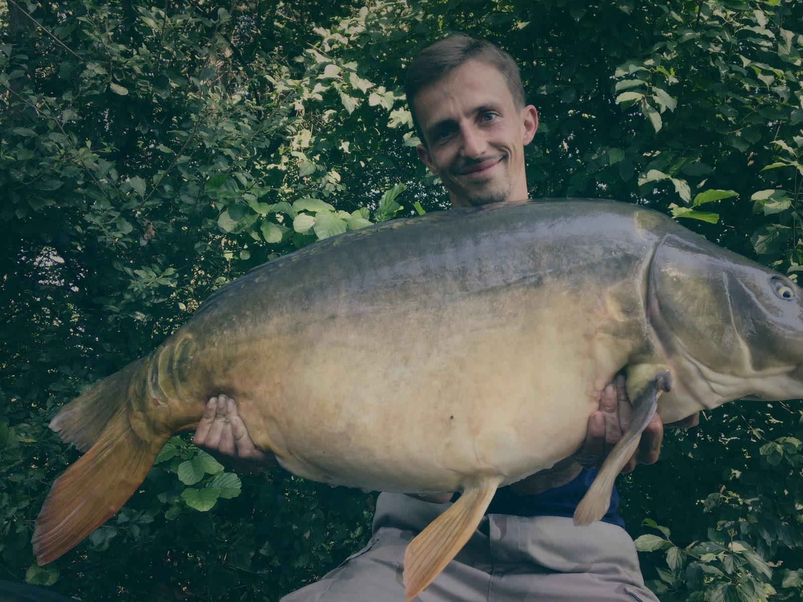 Styria Carp 2016