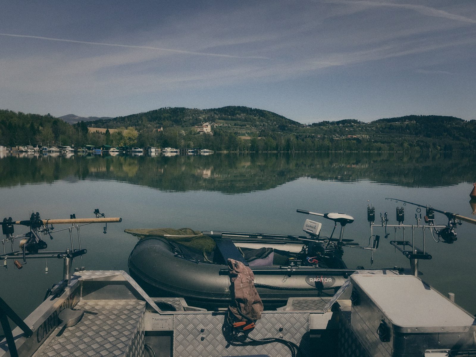Styria Carp
