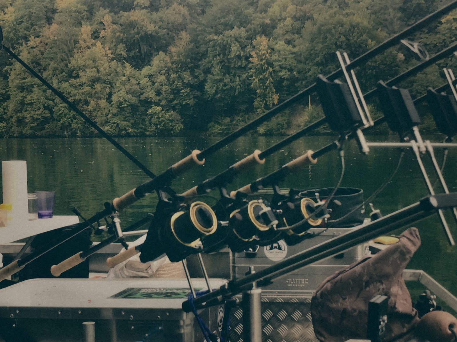 Styria Carp