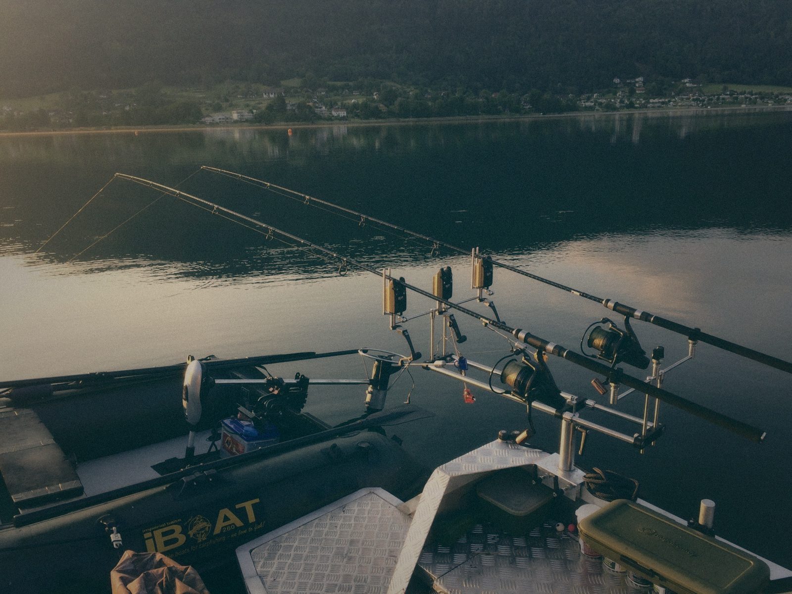 Styria Carp