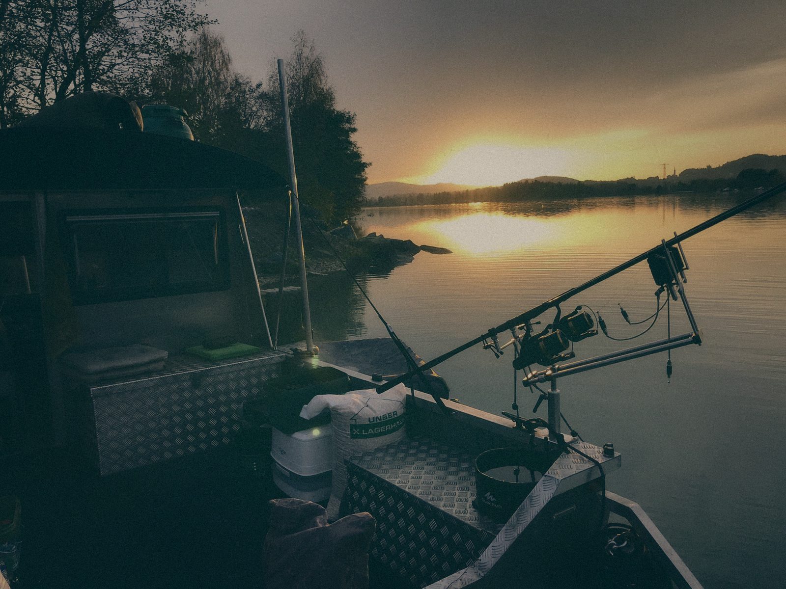 Styria Carp