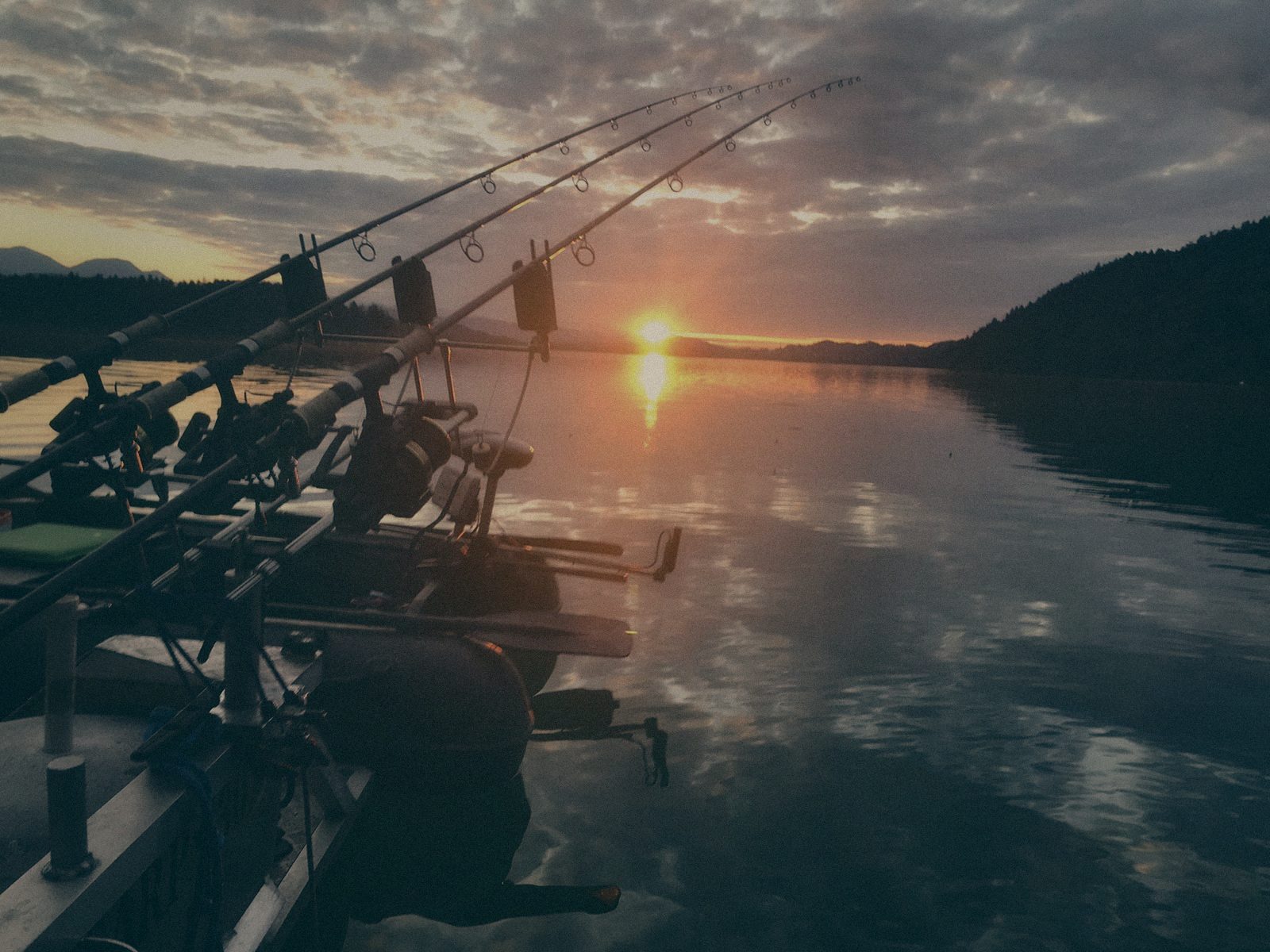 Styria Carp