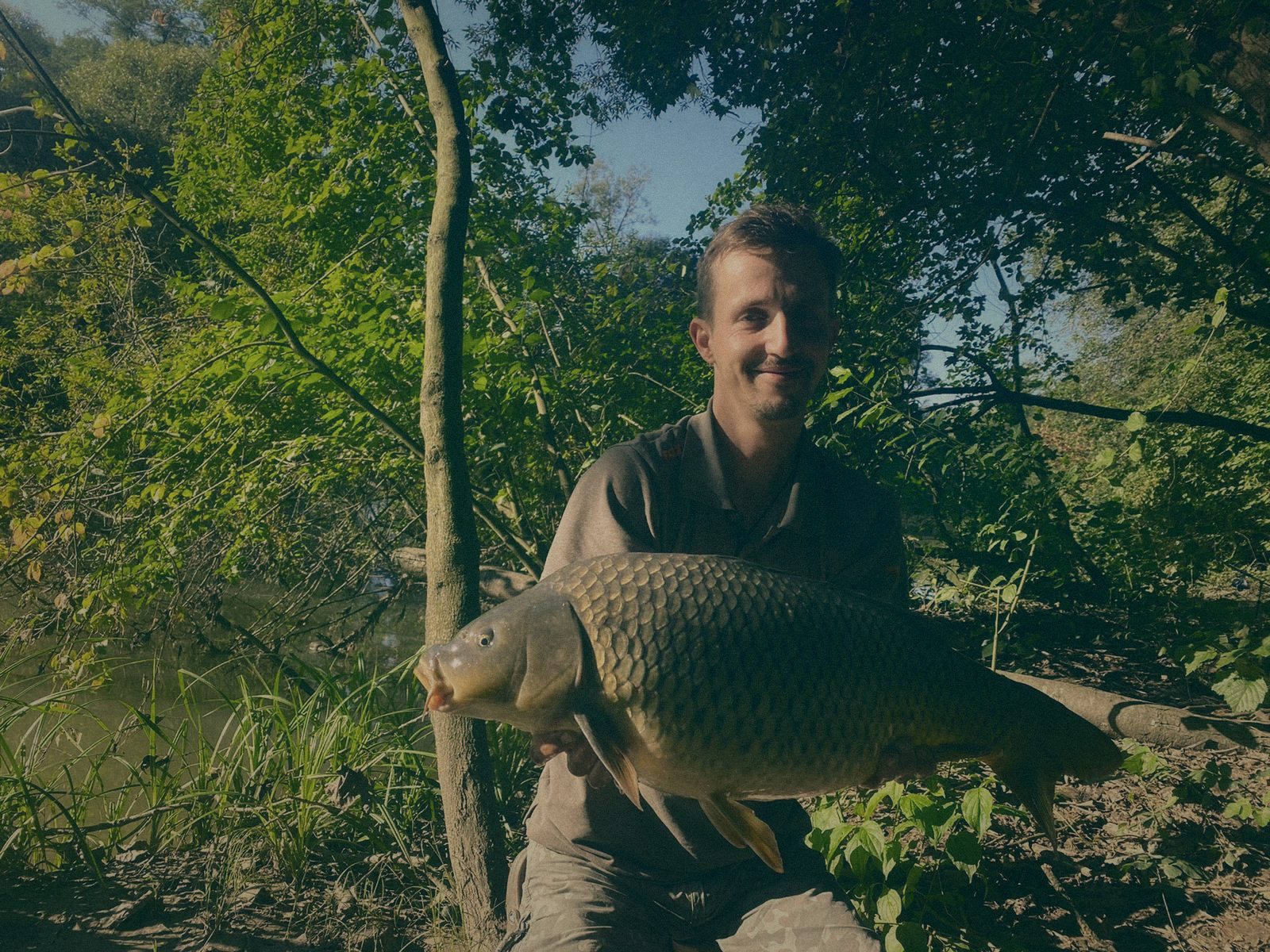 Styria Carp