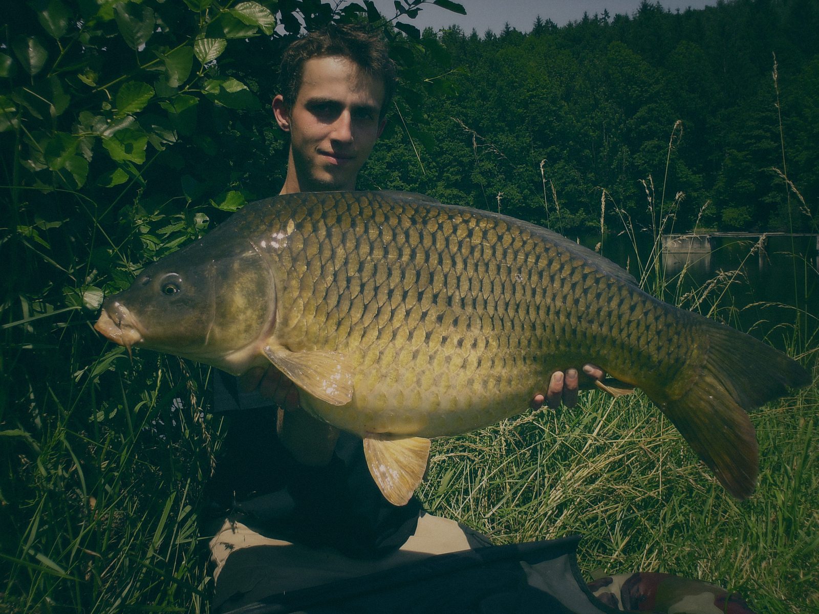 Styria Carp