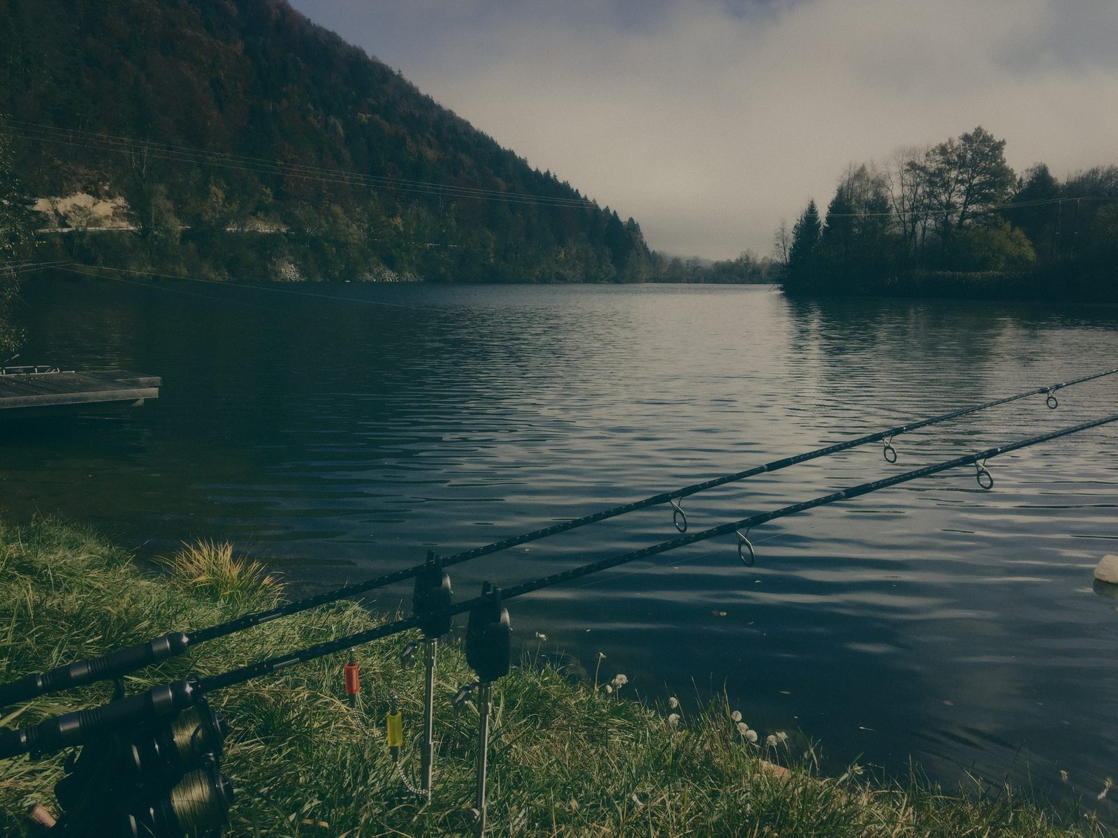 Styria Carp 2016