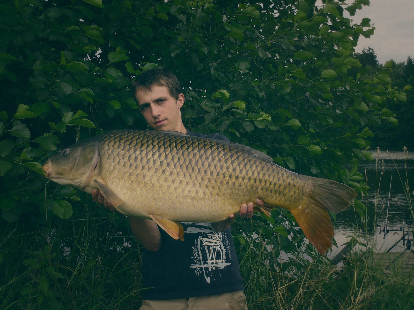 Styria Carp