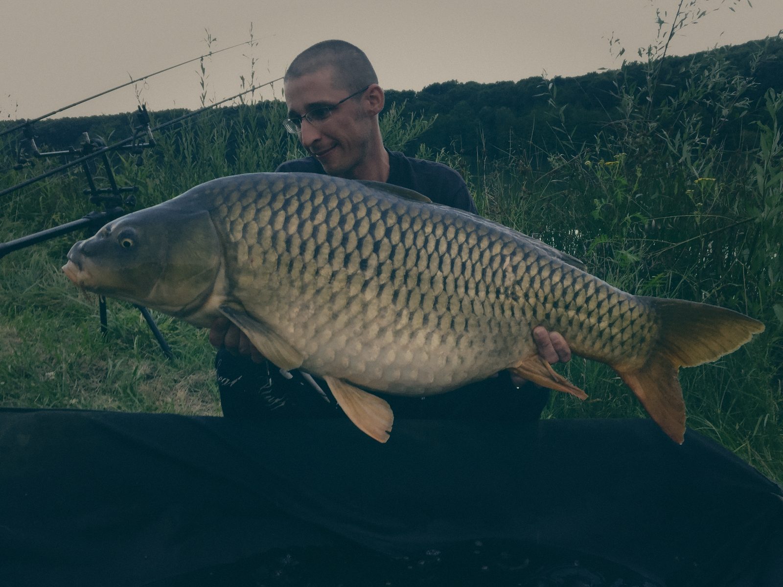 Styria Carp
