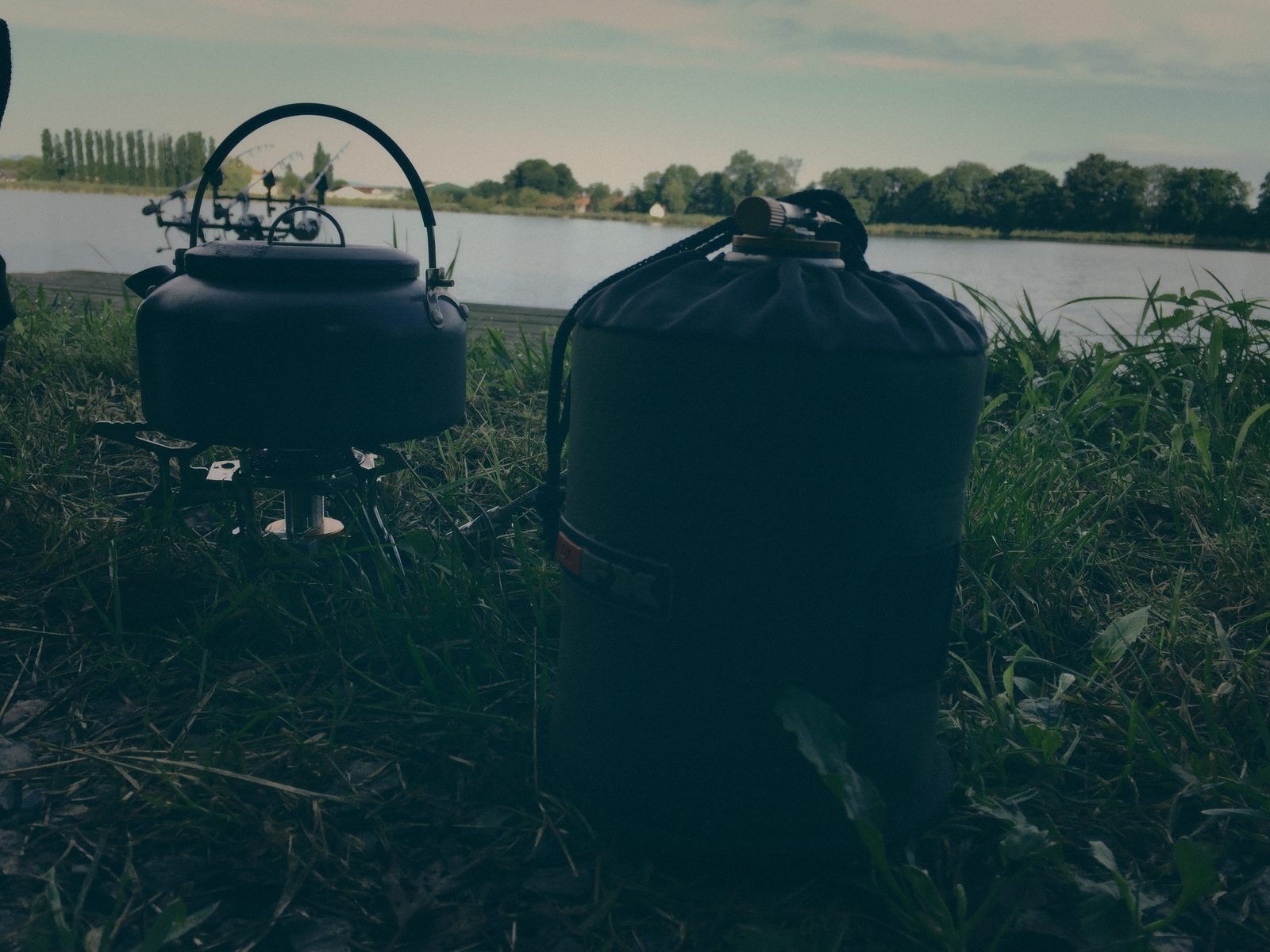 Styria Carp