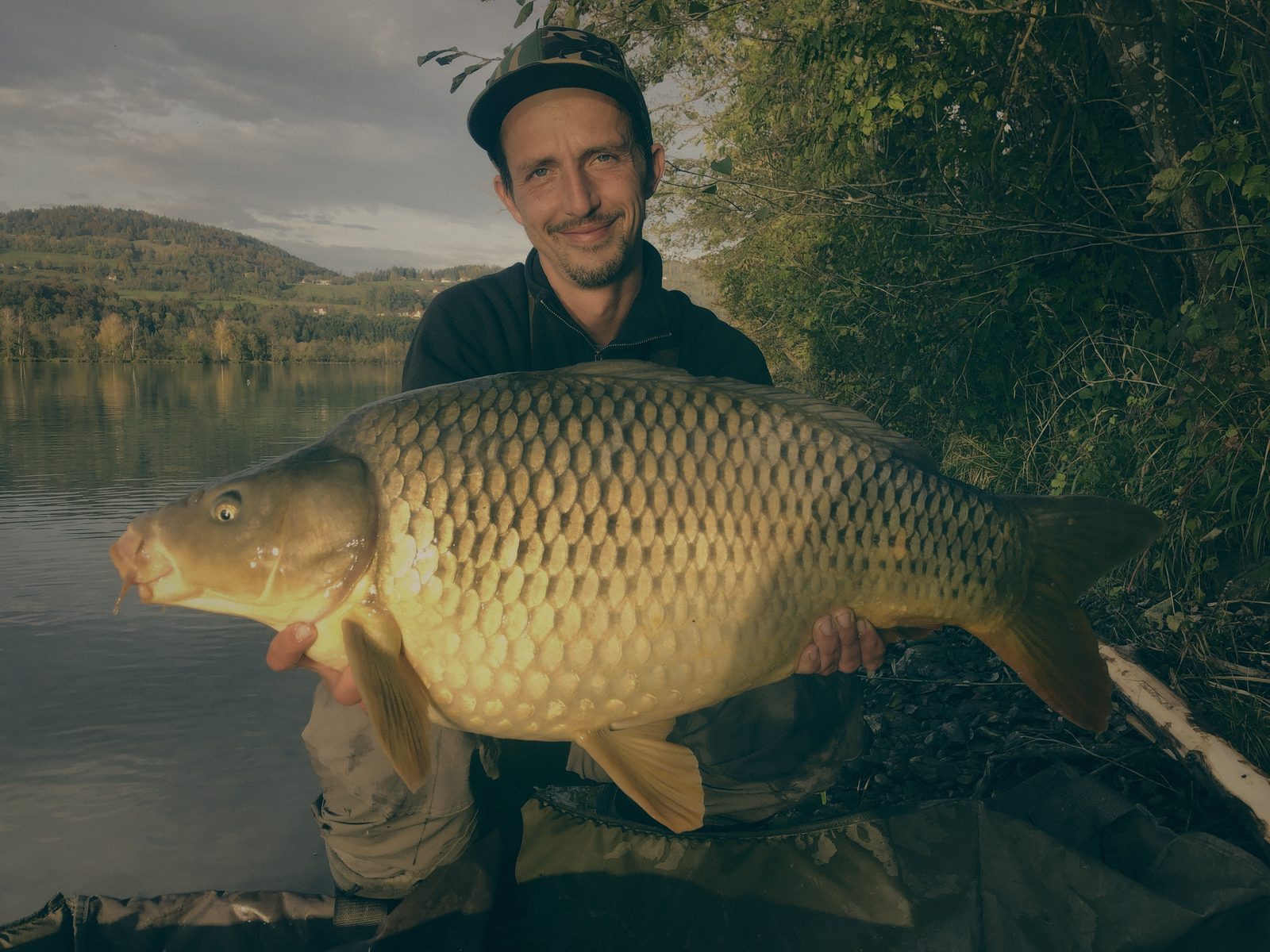 Styria Carp 2020