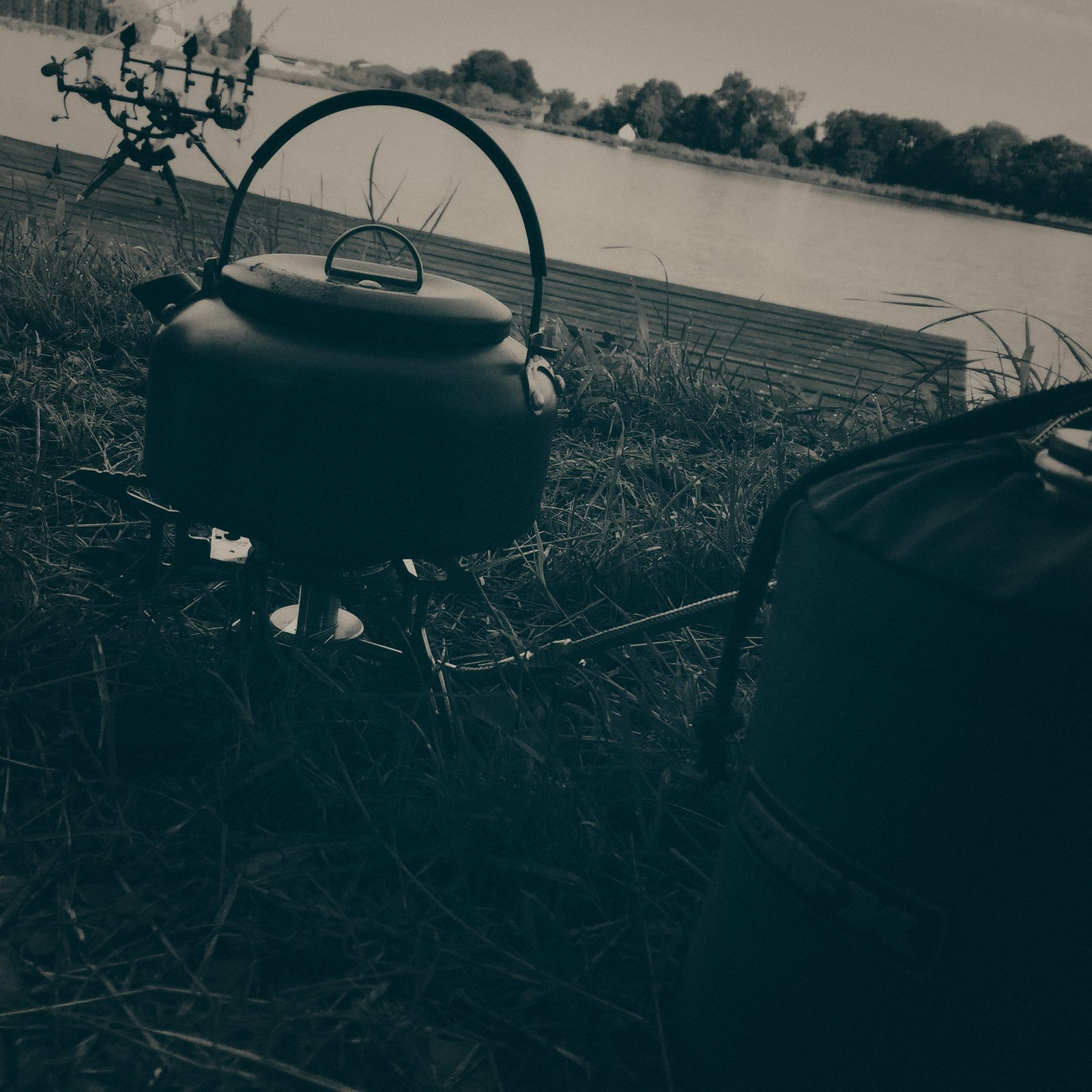 Styria Carp