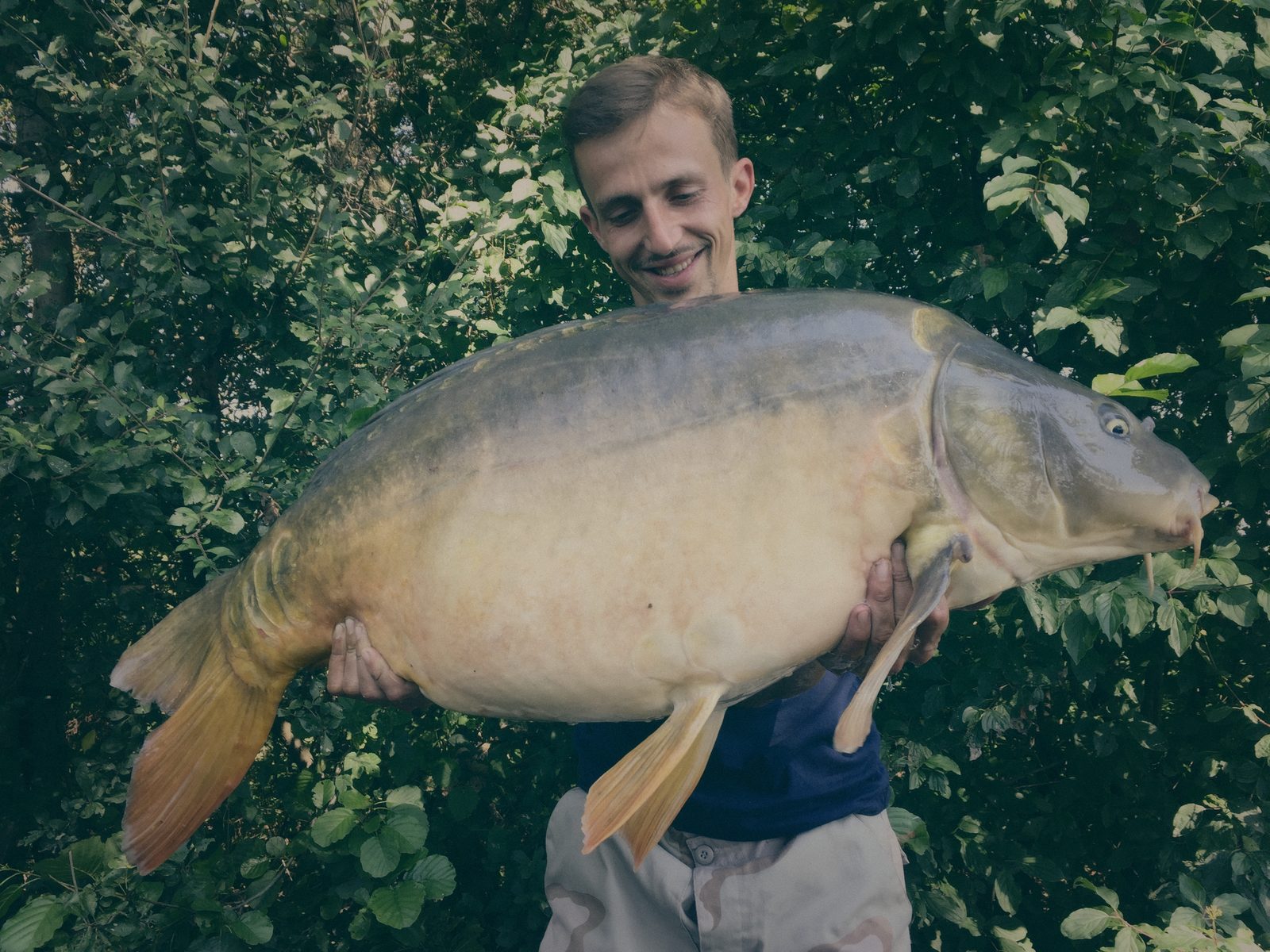 Styria Carp
