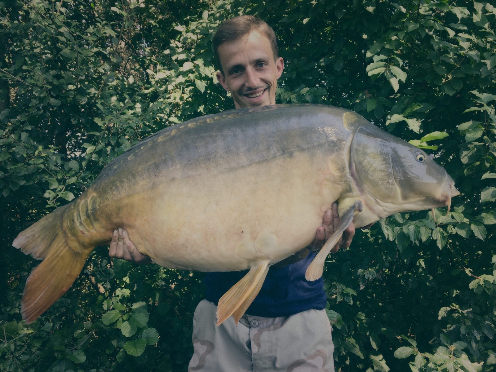 Styria Carp