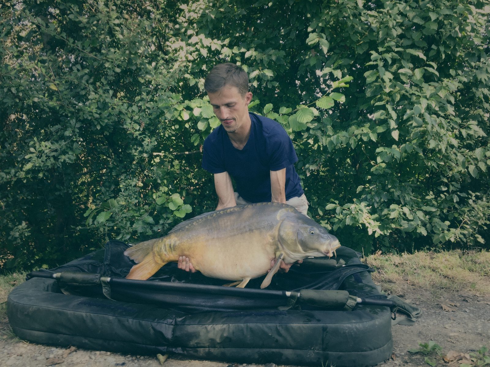 Styria Carp