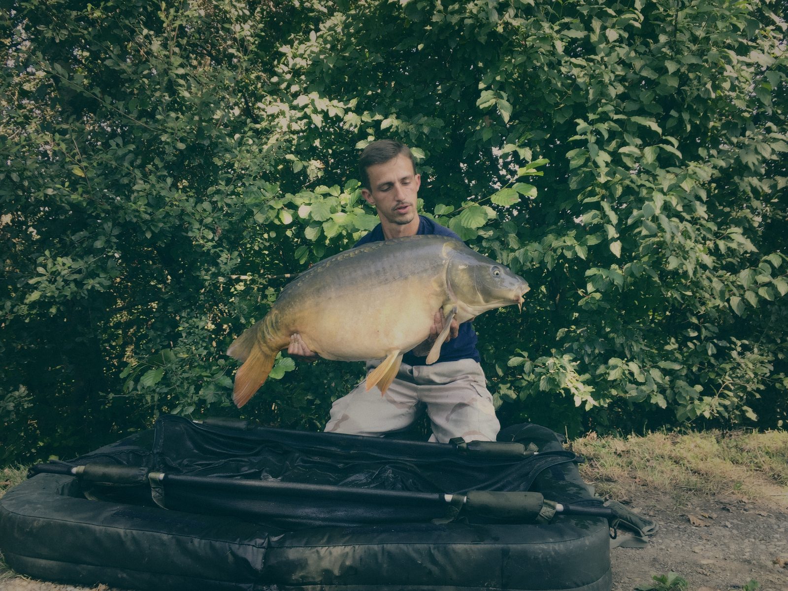Styria Carp