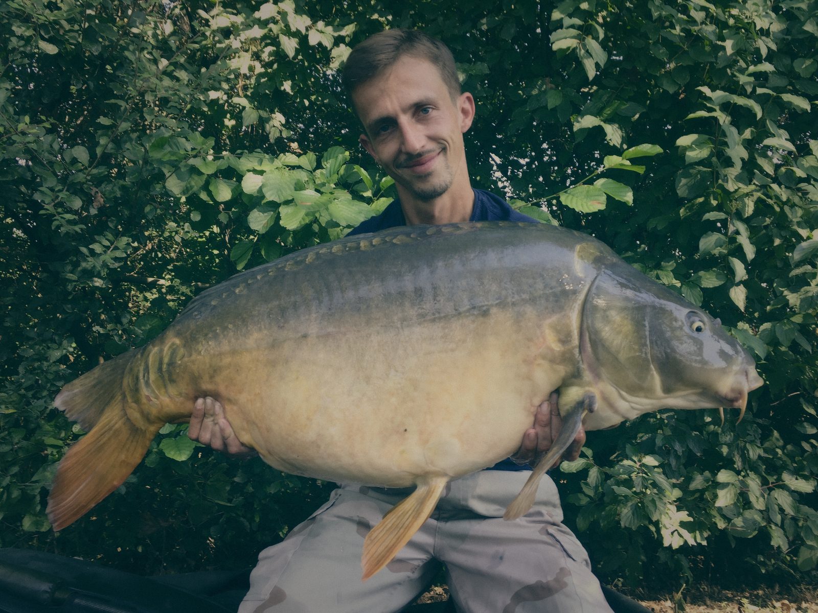 Styria Carp 2016