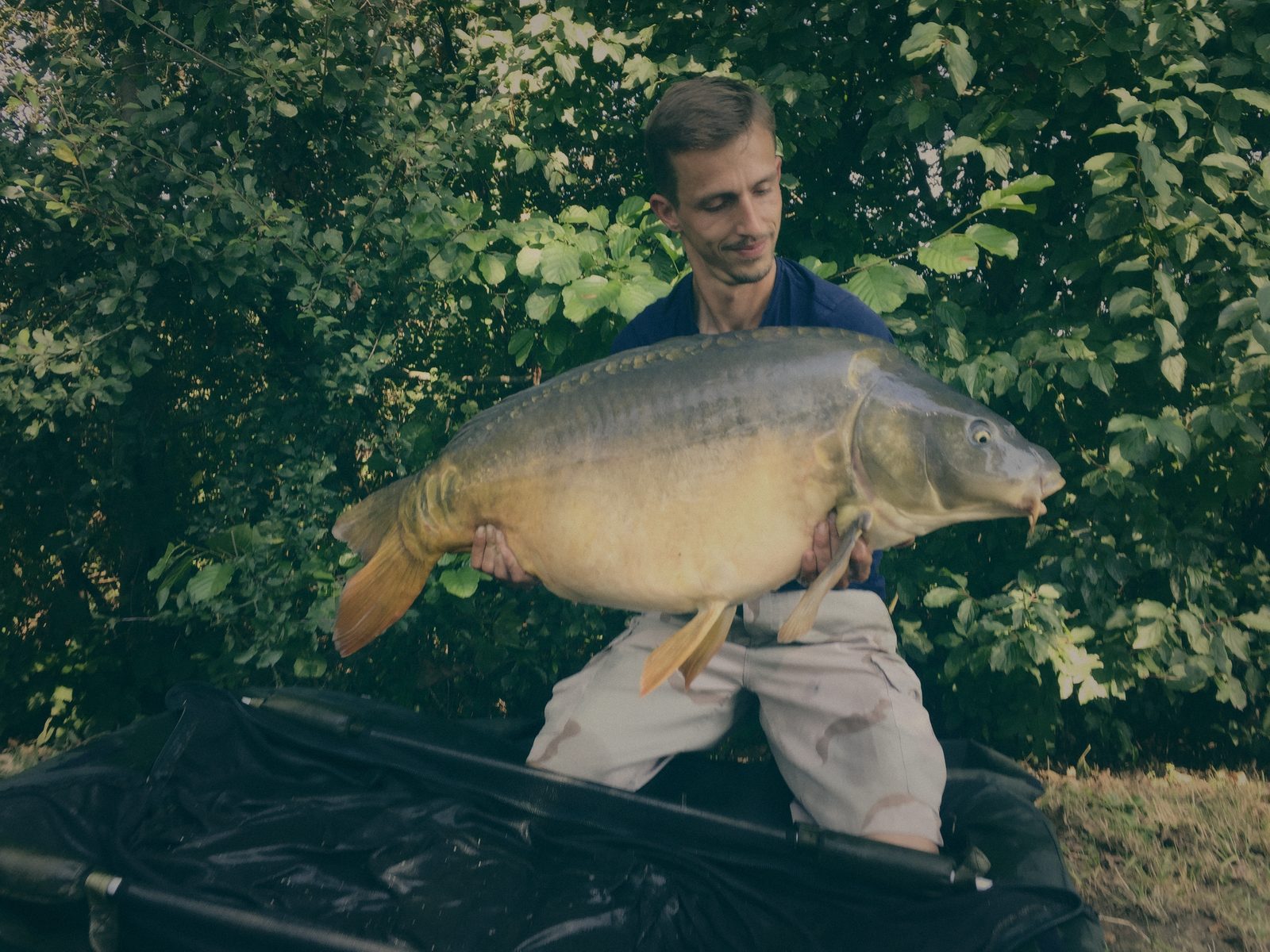 Styria Carp