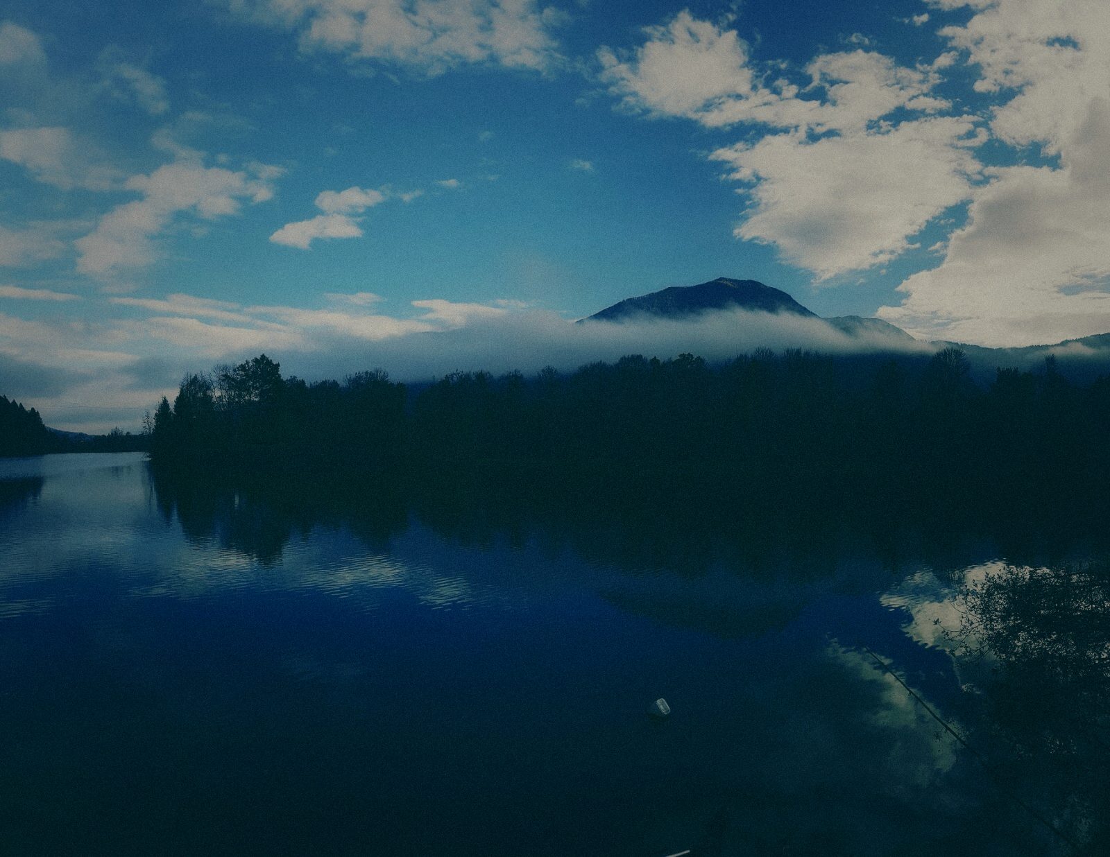 Styria Carp