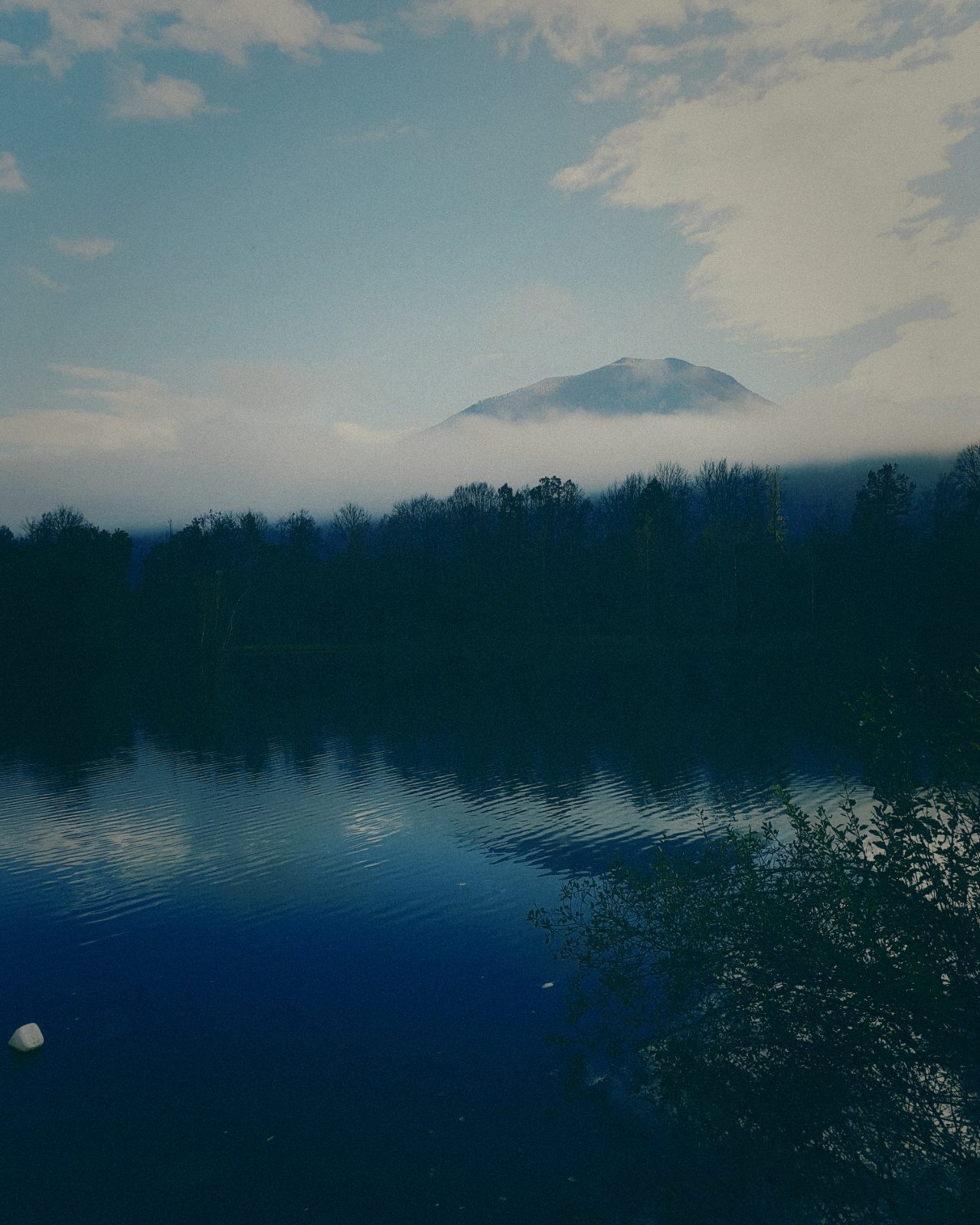 Styria Carp