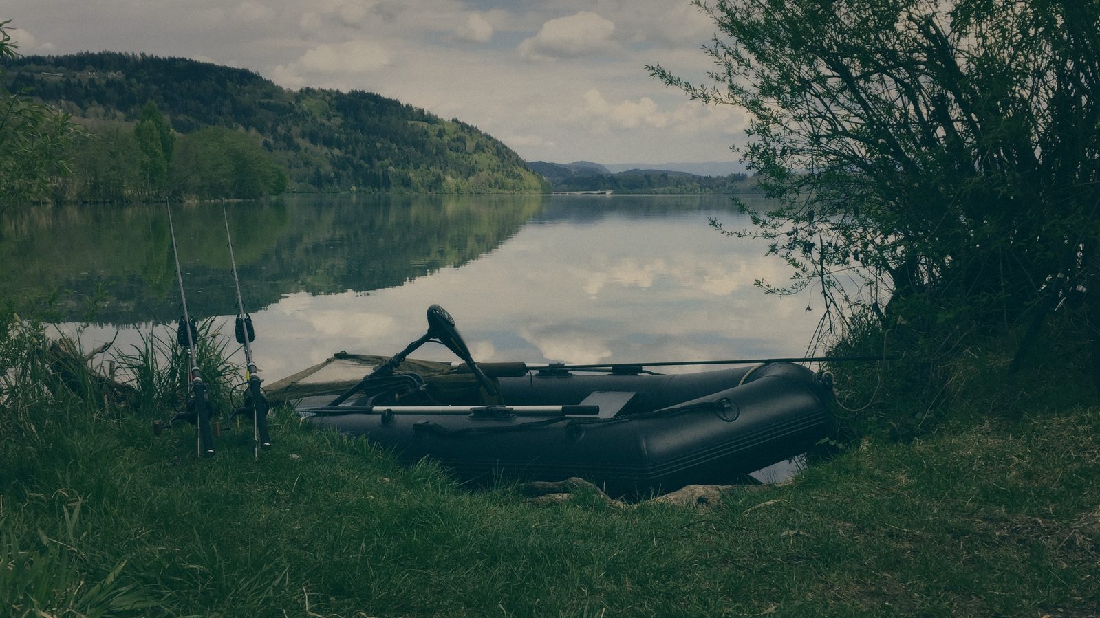 Styria Carp