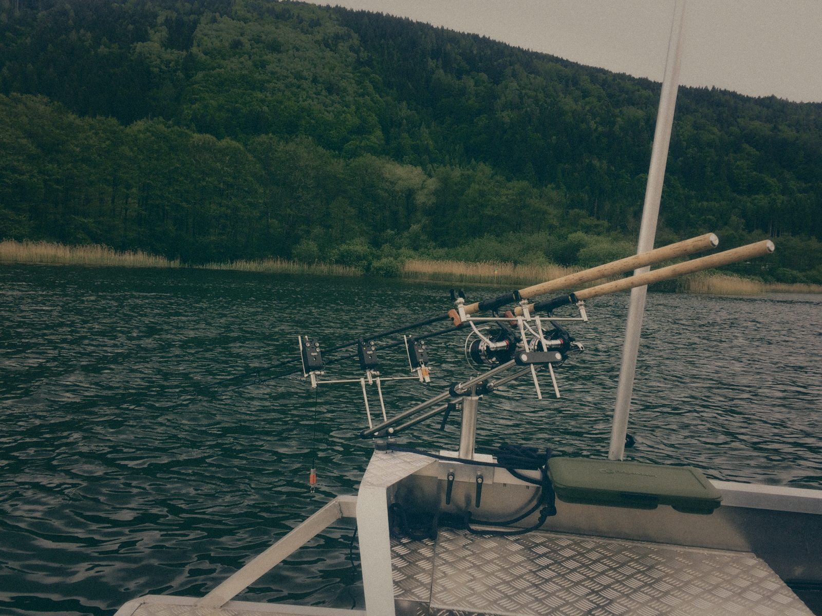 Styria Carp