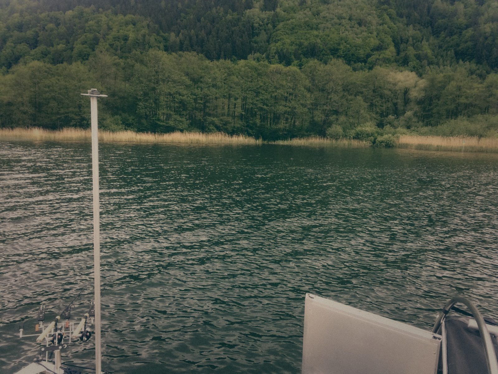 Styria Carp