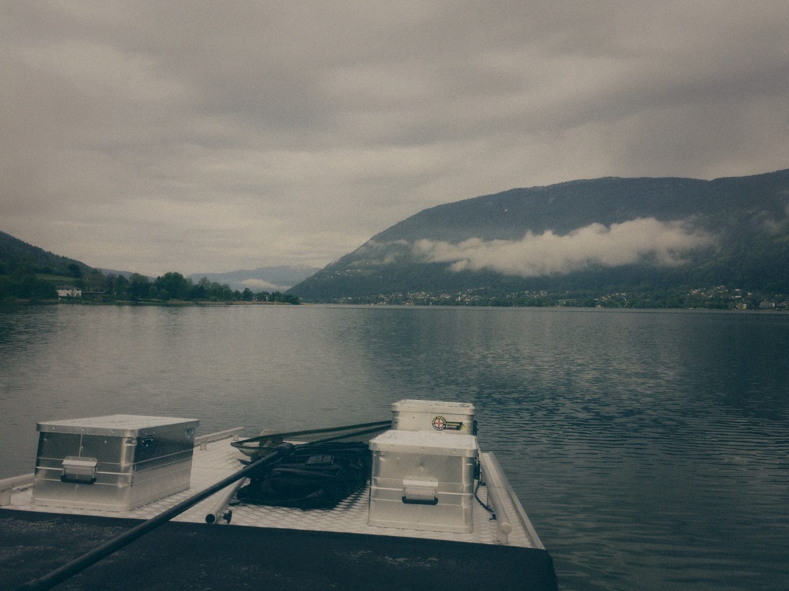 Styria Carp