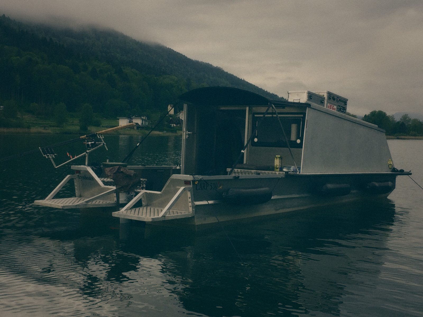Styria Carp