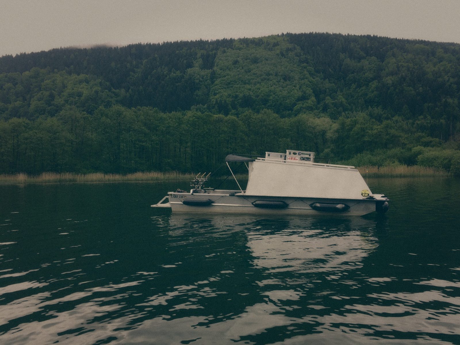Styria Carp