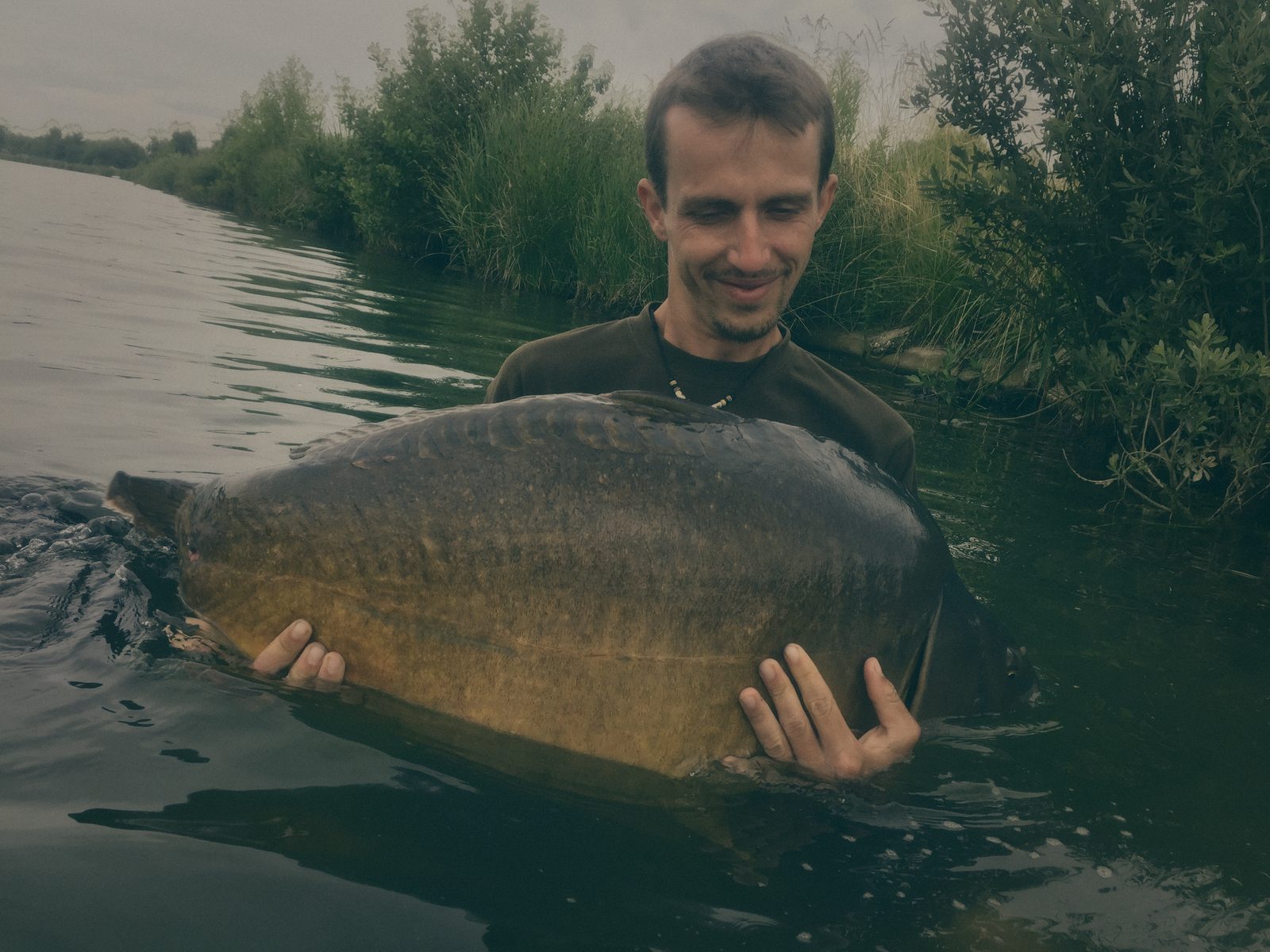 Styria Carp 2017