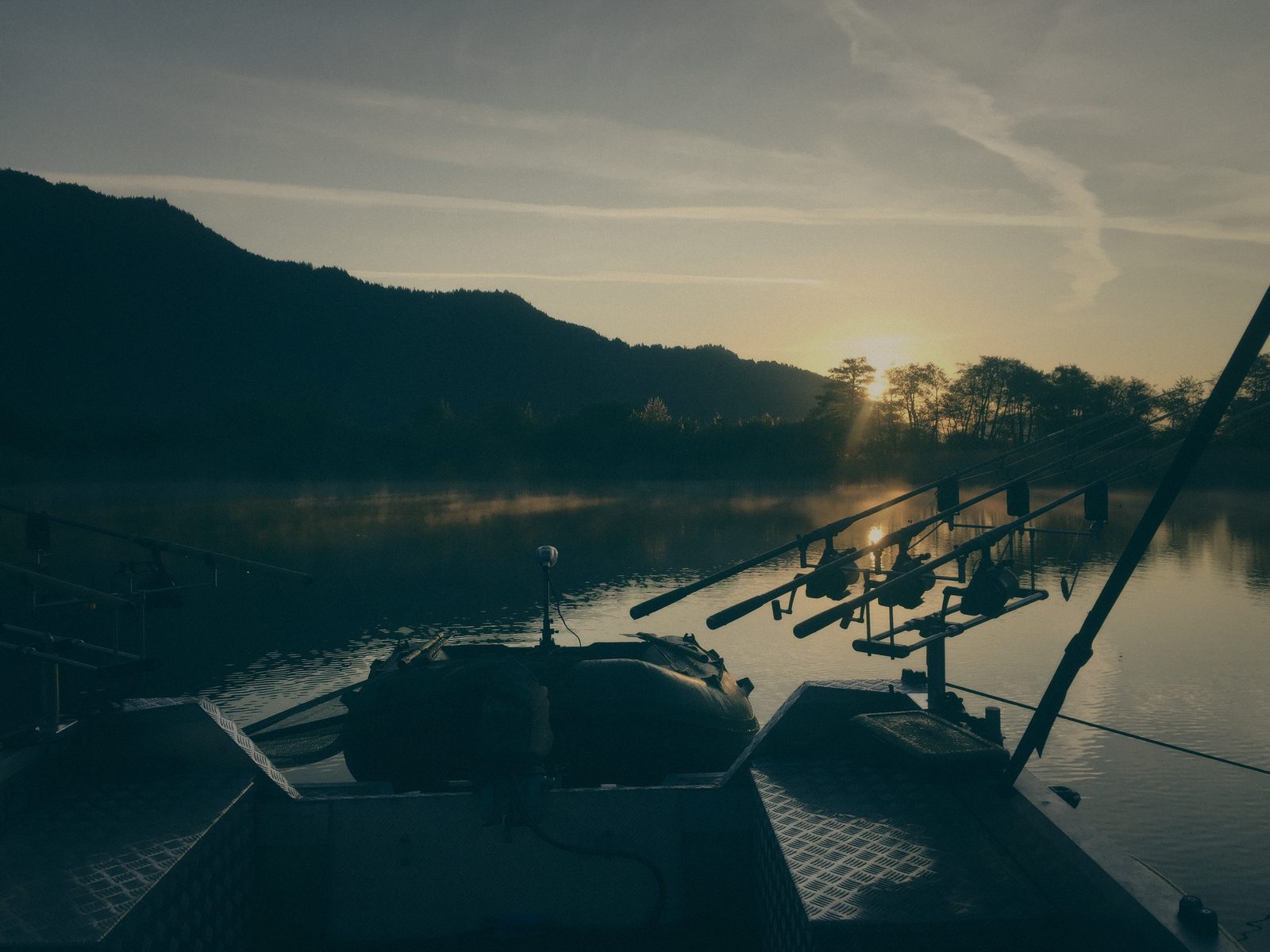Styria Carp