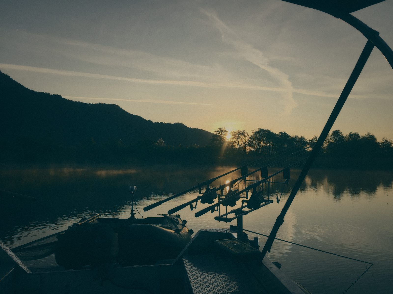Styria Carp