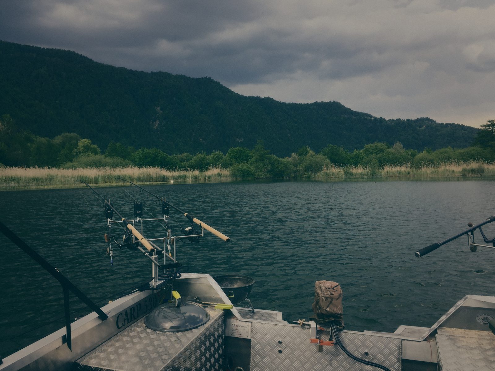 Styria Carp
