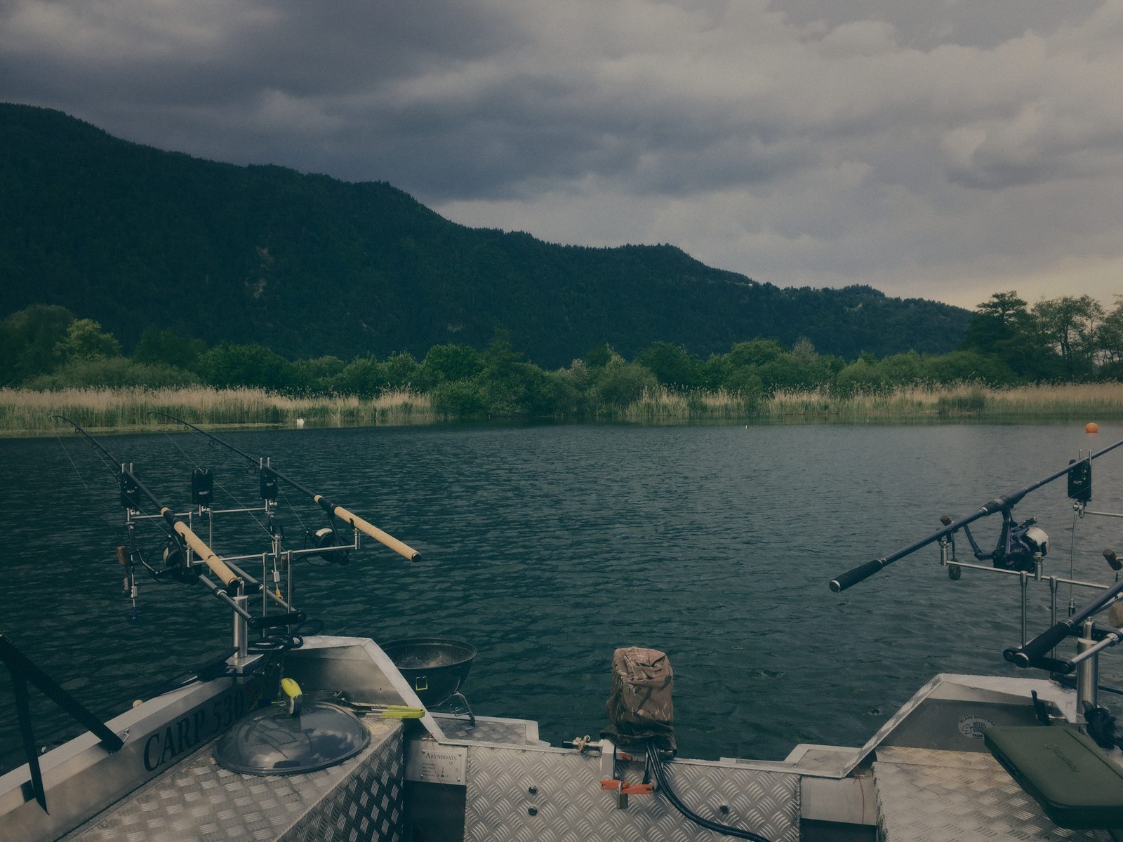 Styria Carp