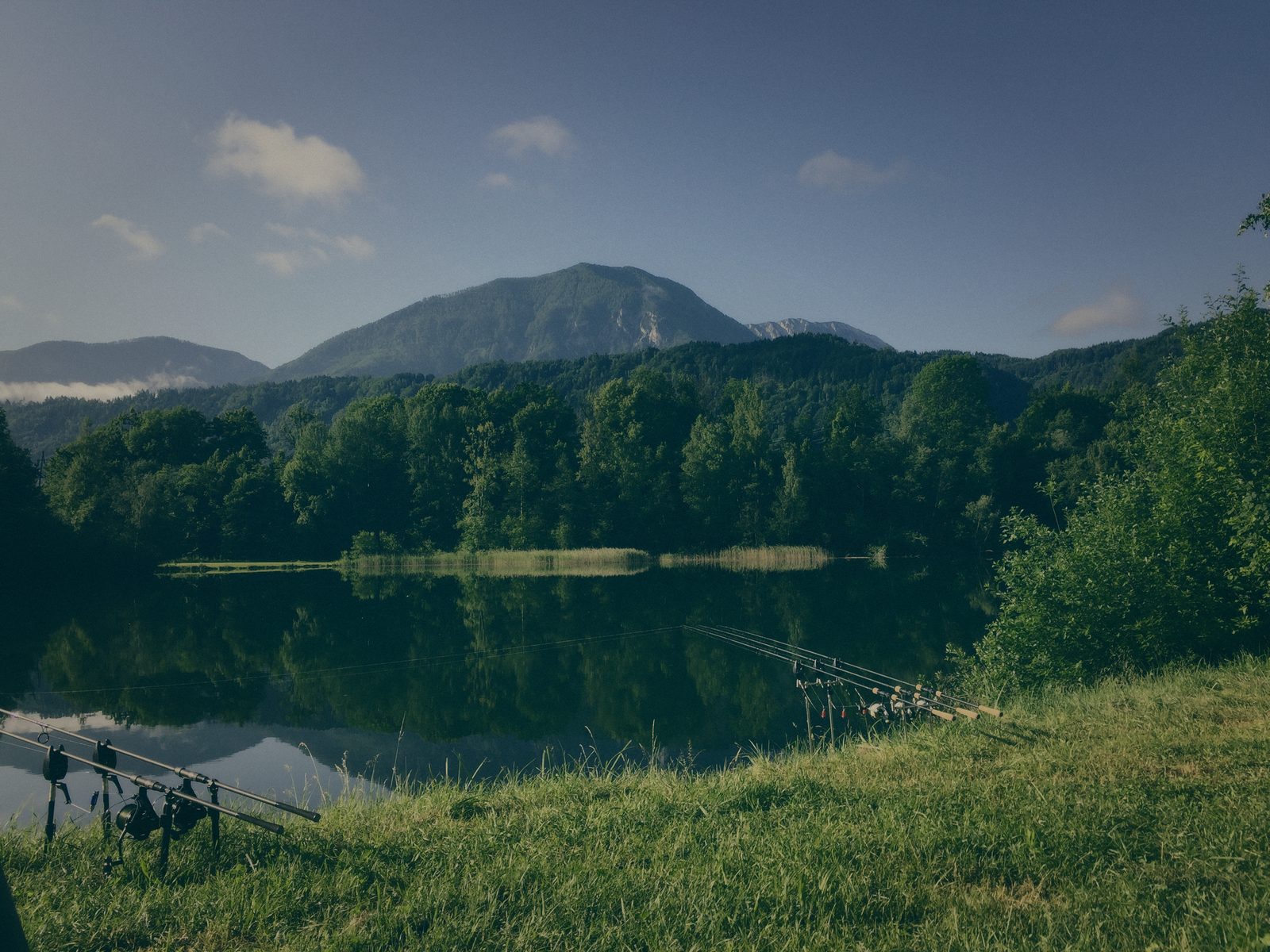 Styria Carp 2018