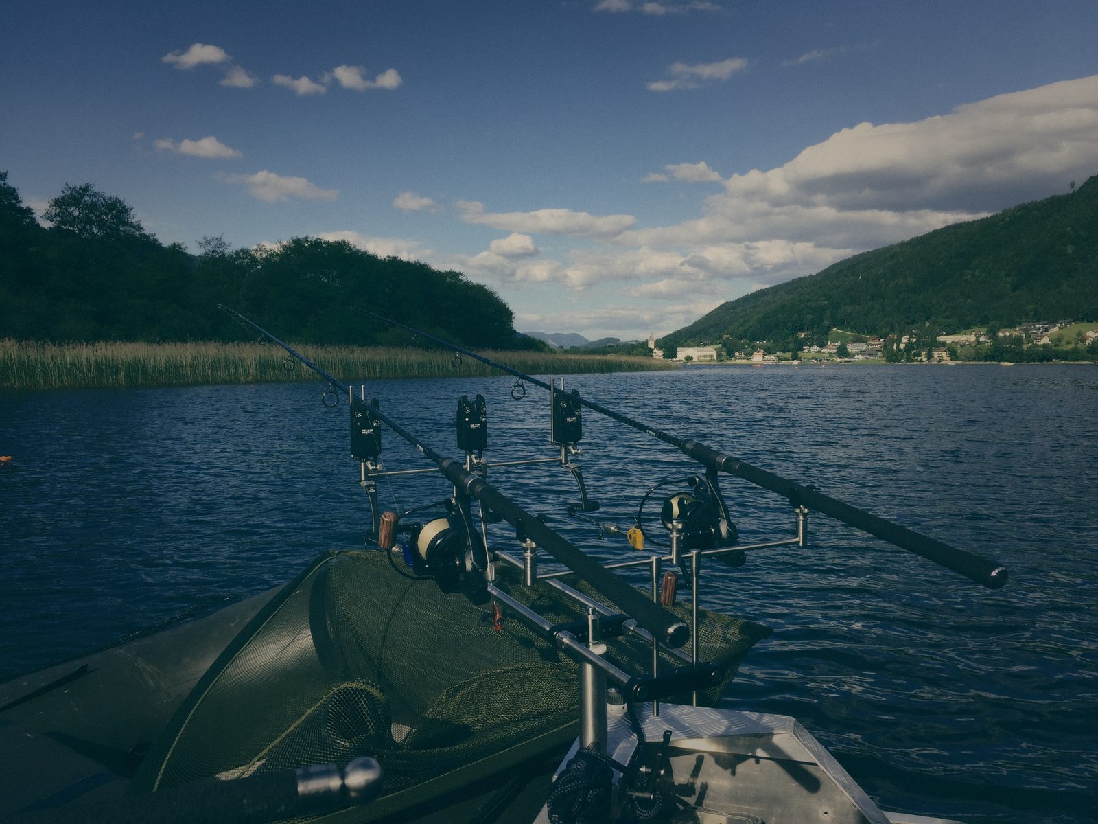 Styria Carp