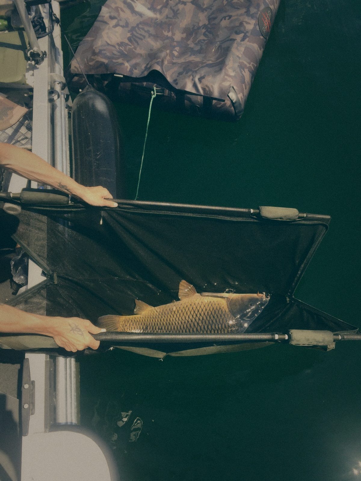 Styria Carp